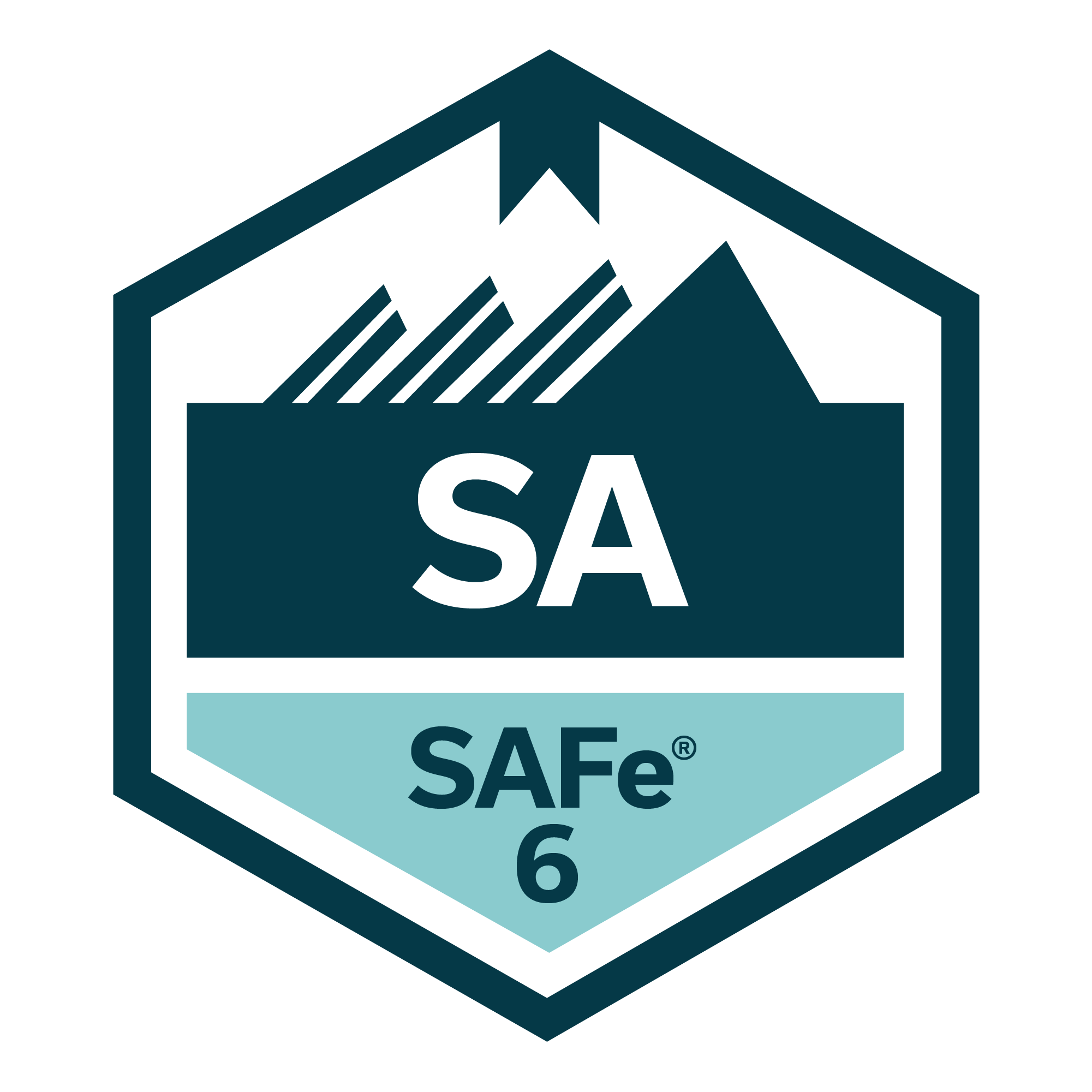 SAFe 6 Agilist